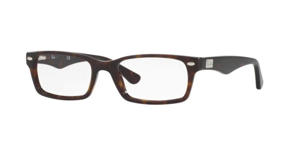 Ray-Ban 5206 Eyeglasses - view 5